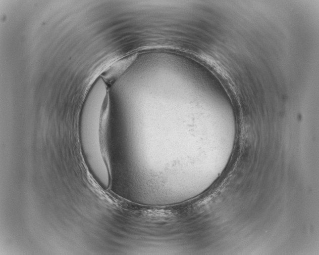 X0000087391137200705111754