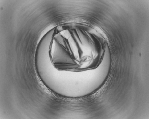 X0000087391138200705111754