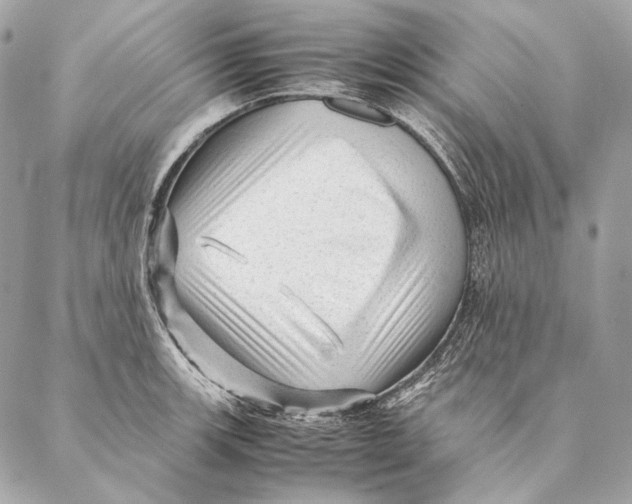 X0000087391139200705111754