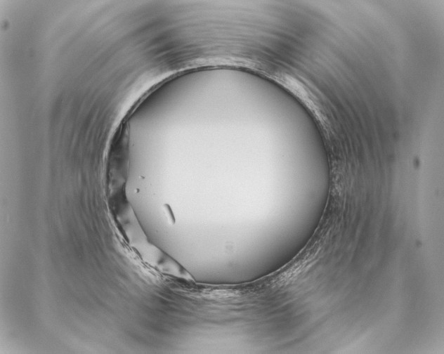 X0000087391140200705111754