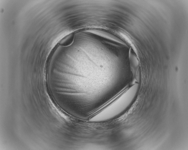 X0000087391141200705111754