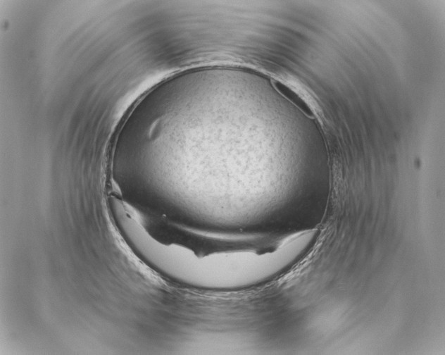 X0000087391142200705111754