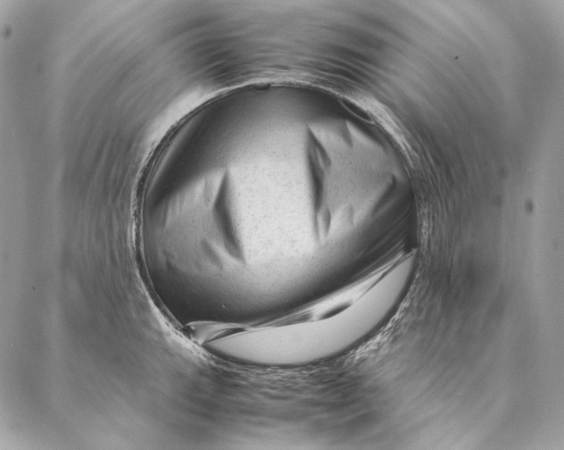 X0000087391143200705111754