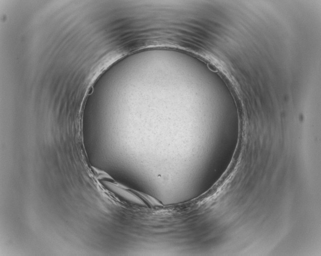 X0000087391145200705111754