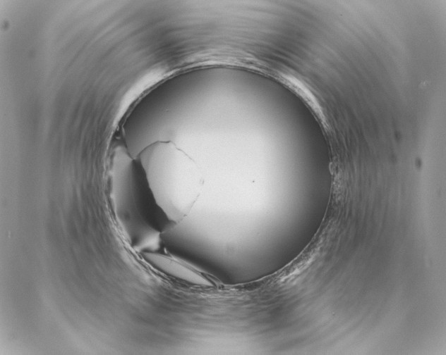 X0000087391146200705111754