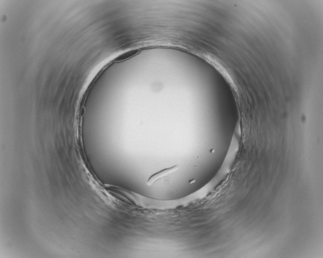 X0000087391148200705111754