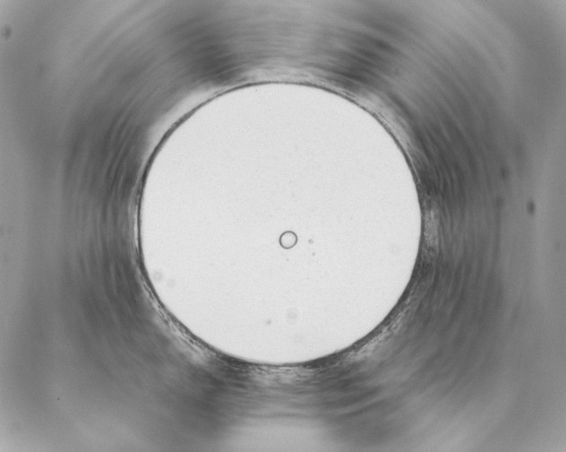 X0000087391150200705111754