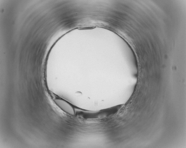 X0000087391152200705111754