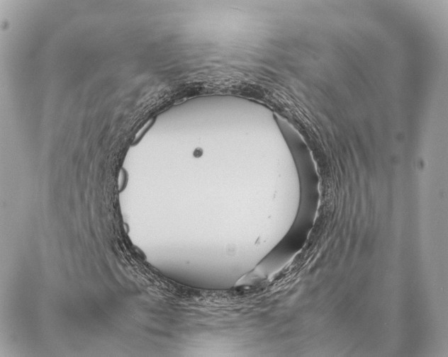 X0000087391153200705111753