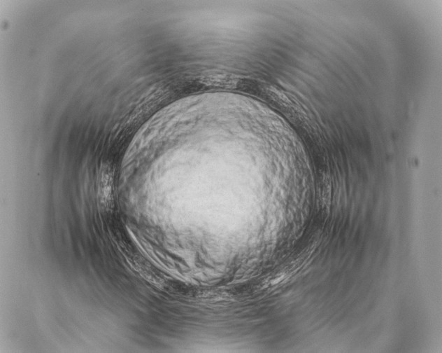 X0000087391154200705111753