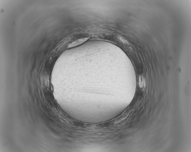 X0000087391155200705111753