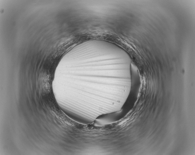 X0000087391156200705111753