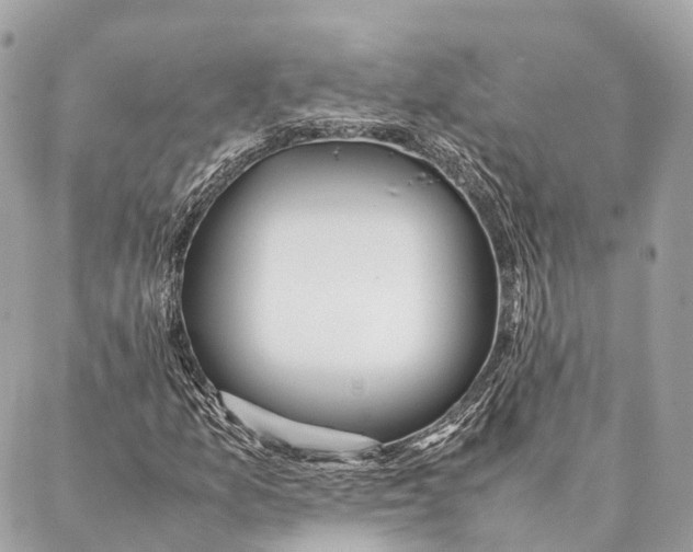 X0000087391157200705111753