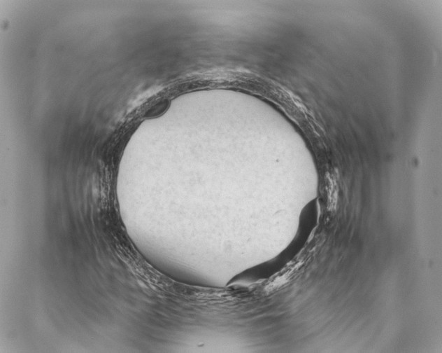 X0000087391158200705111753