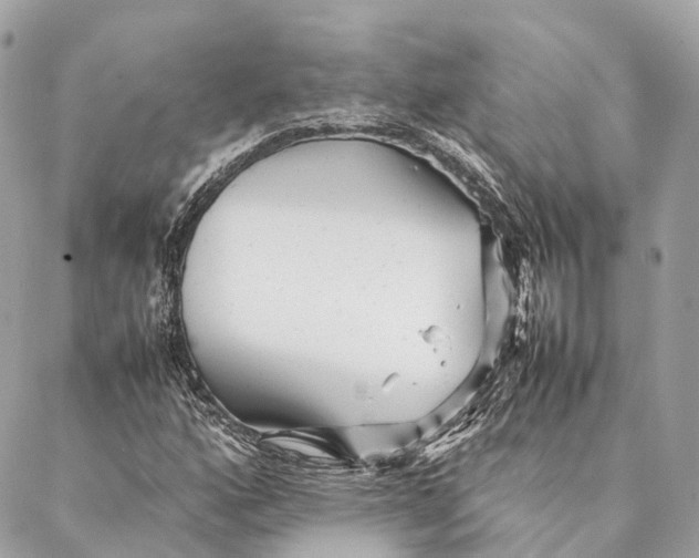 X0000087391160200705111753