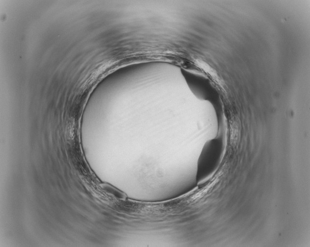 X0000087391161200705111753