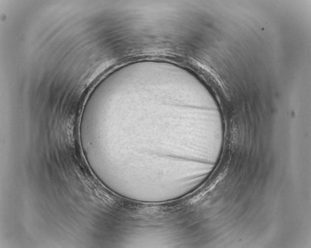 X0000087391162200705111753