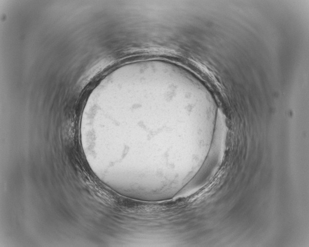 X0000087391163200705111753