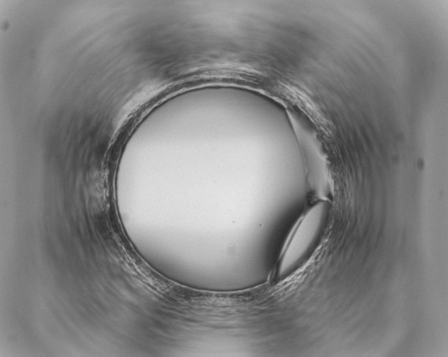 X0000087391164200705111753