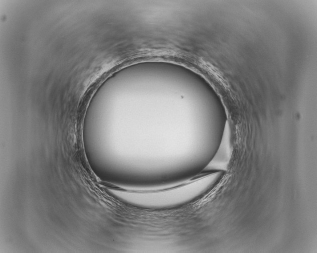 X0000087391165200705111753