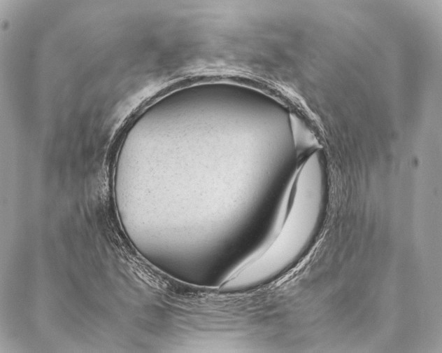 X0000087391167200705111753