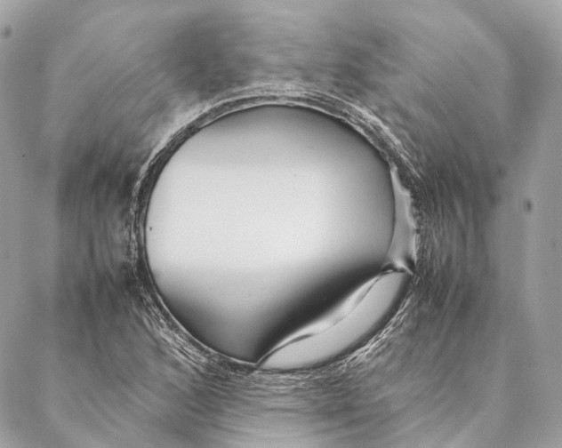 X0000087391168200705111753