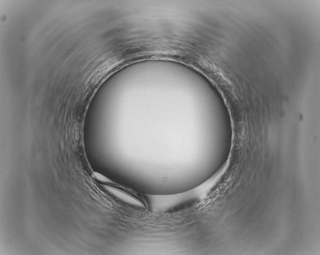 X0000087391169200705111753