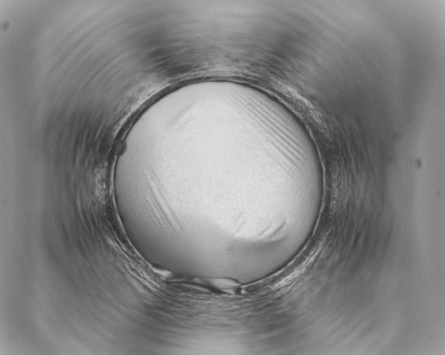 X0000087391170200705111753