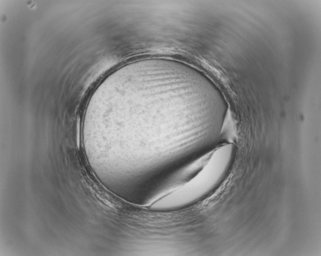 X0000087391171200705111753