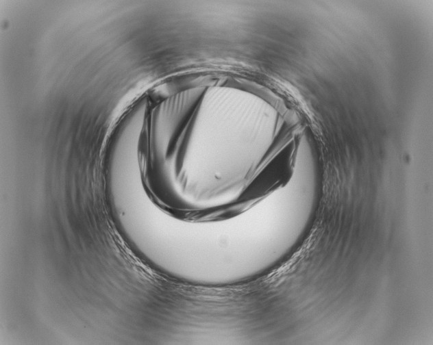 X0000087391172200705111753