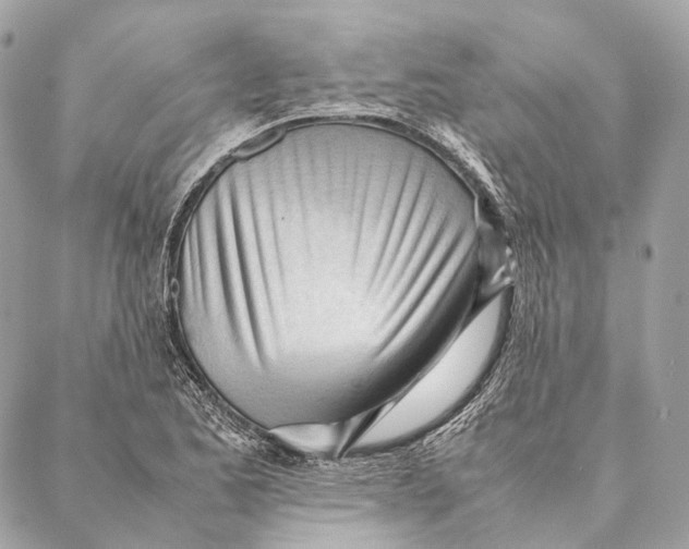 X0000087391173200705111753