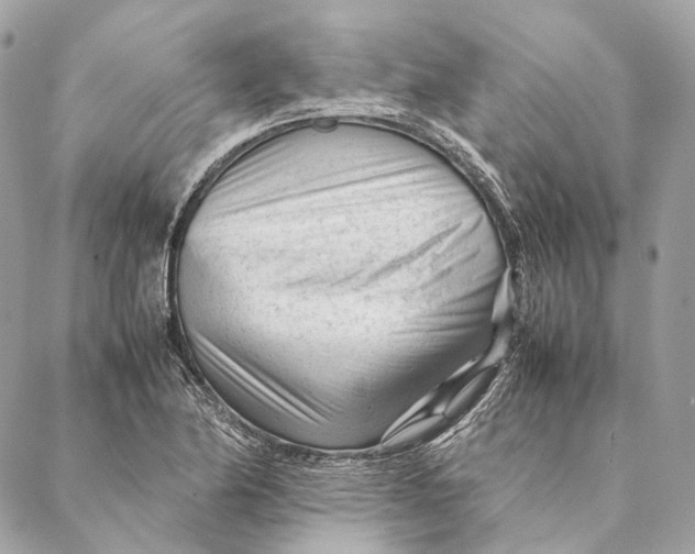 X0000087391174200705111753