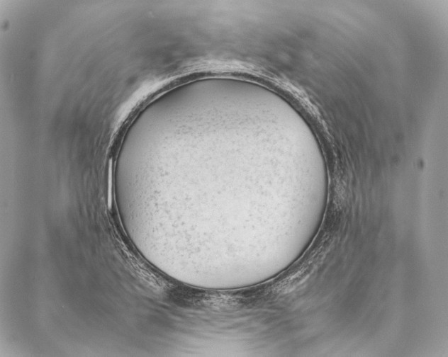 X0000087391175200705111753