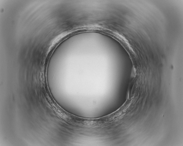 X0000087391176200705111753