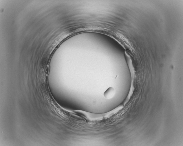 X0000087391177200705111753