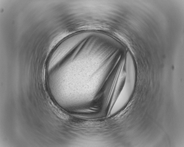 X0000087391179200705111753