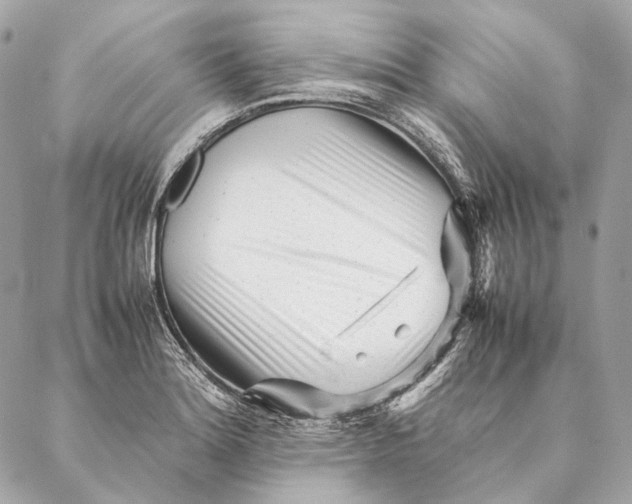 X0000087391180200705111753