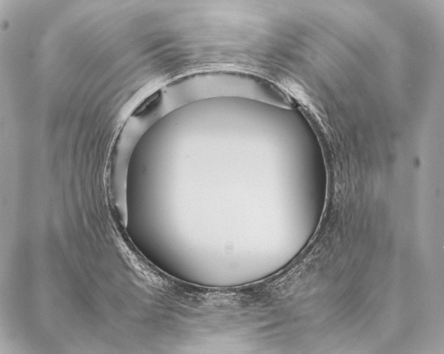 X0000087391181200705111753