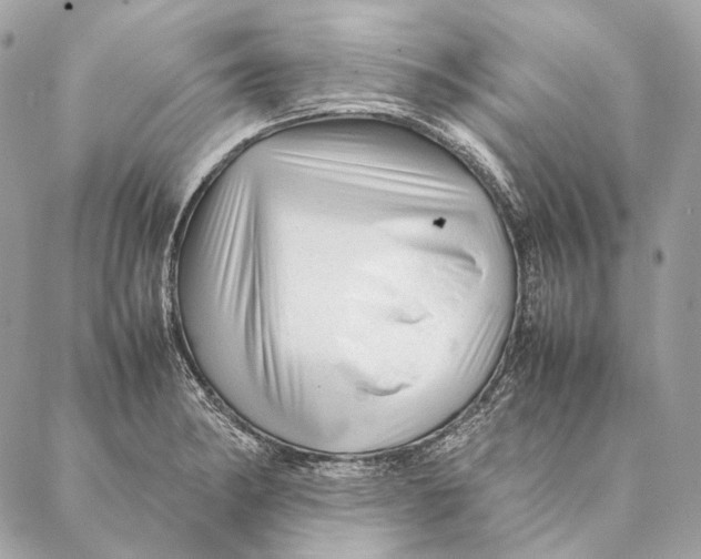 X0000087391182200705111753