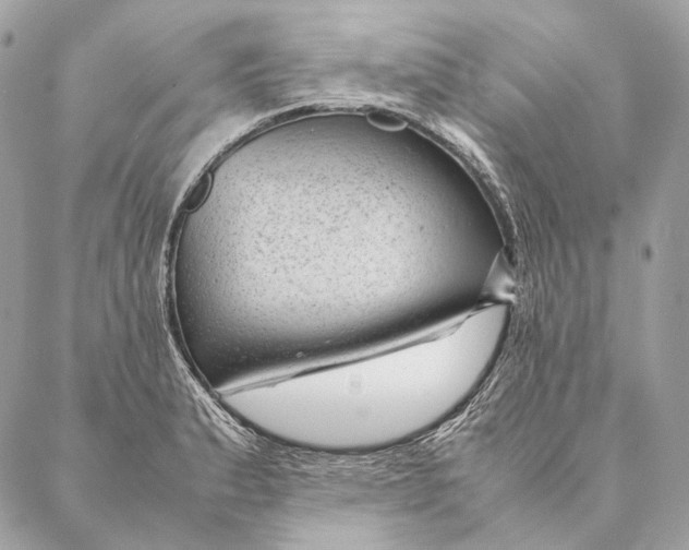 X0000087391183200705111753