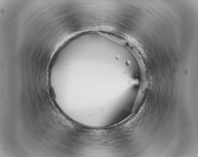 X0000087391184200705111753