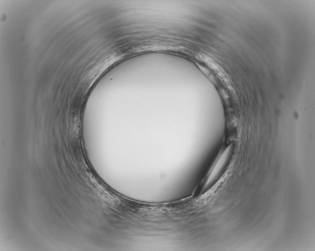 X0000087391185200705111753