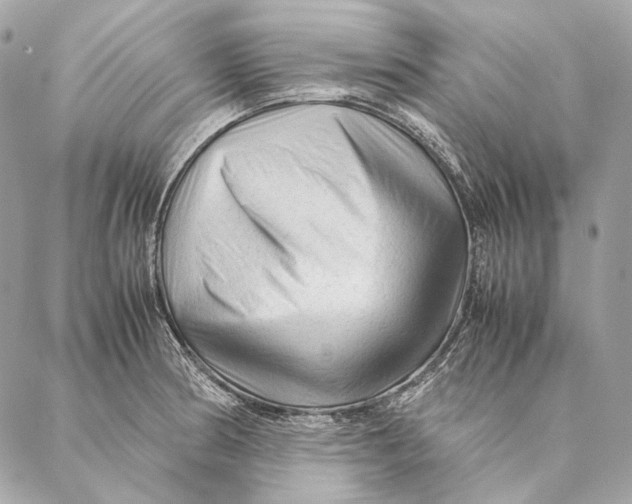 X0000087391186200705111753