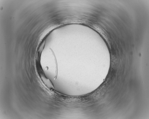 X0000087391187200705111753