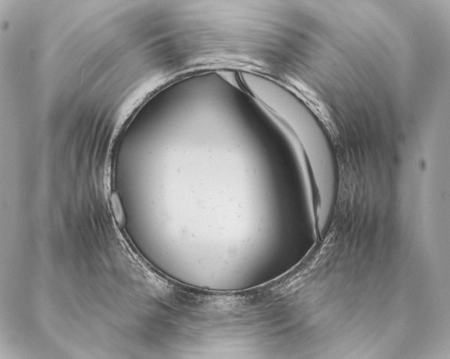 X0000087391188200705111753