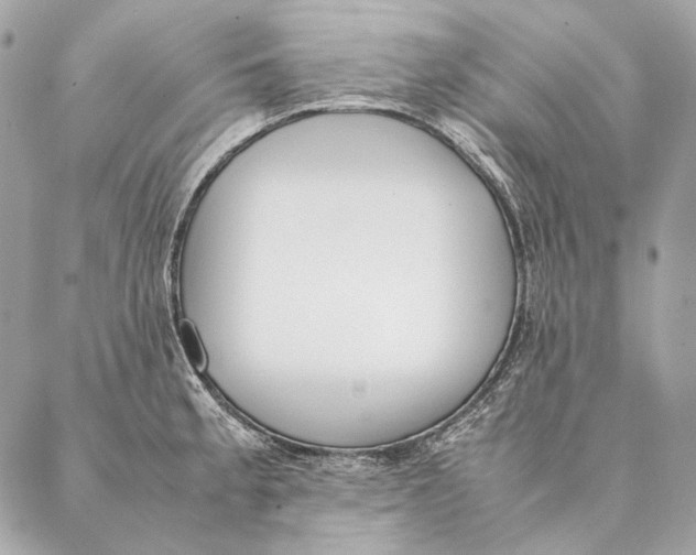 X0000087391189200705111753