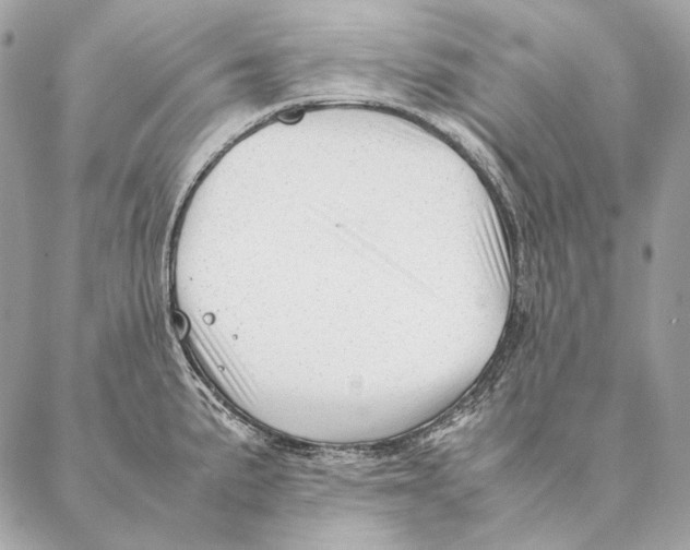 X0000087391191200705111753