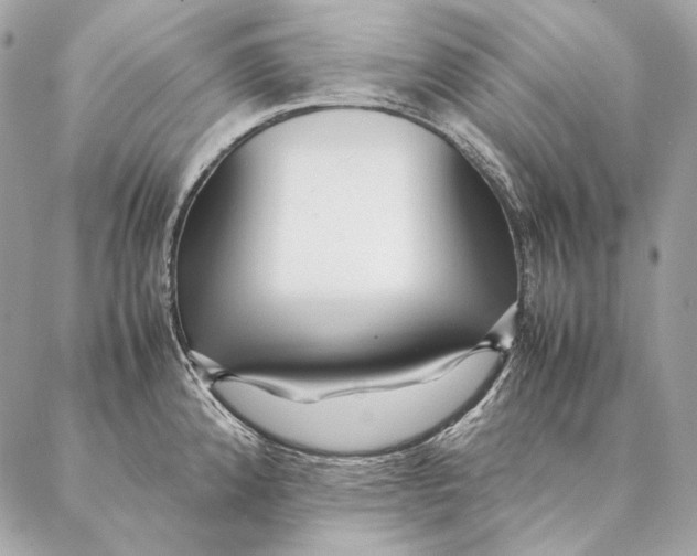 X0000087391192200705111753