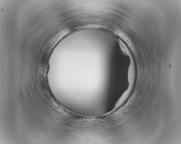 X0000087391193200705111753