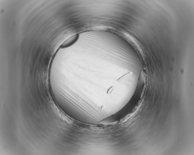 X0000087391194200705111753